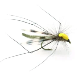 Parachute Longlegs - 10