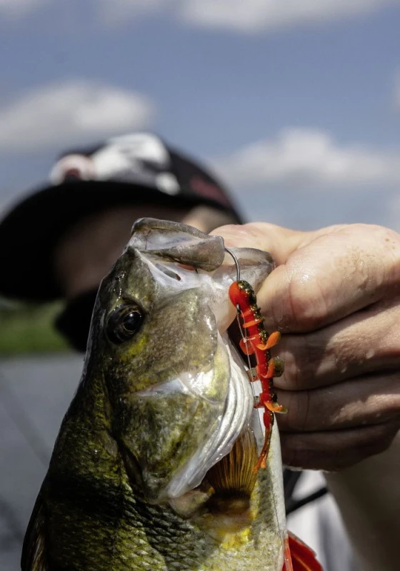 Quantum 4Street B-Ass Creature 6,3cm (7-pack) - Billede 2