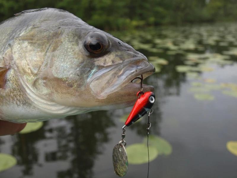 Spinmad Tail Spinner Mag 6g - Billede 2