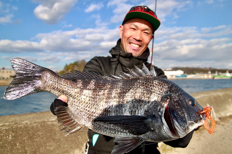 Megabass Rock Hog - Billede 4