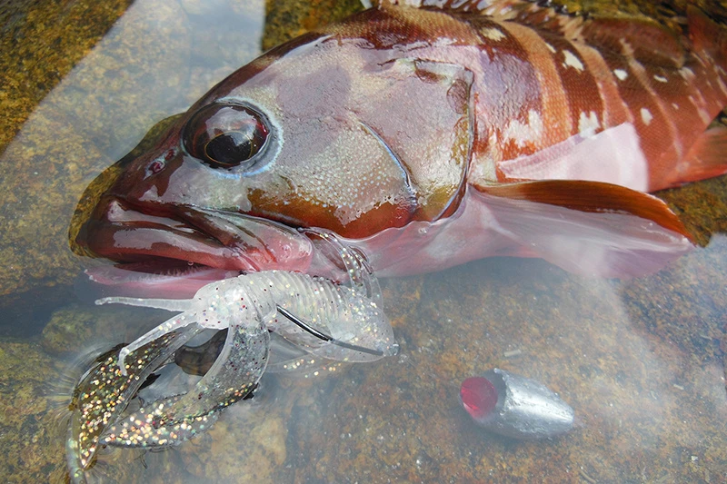 Megabass Rock Hog - Billede 5