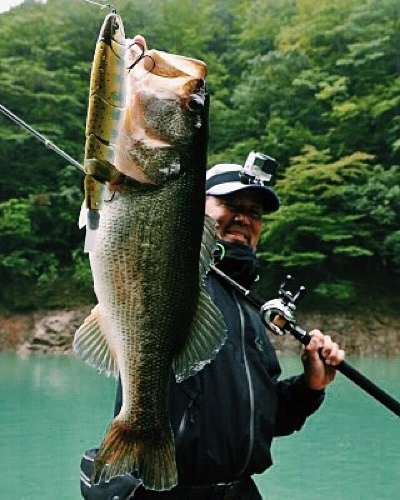 Madness Japan Balam Swimbait - Billede 2