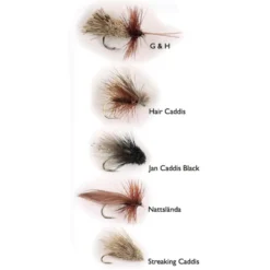 Dry Fly Sedges 5-pack